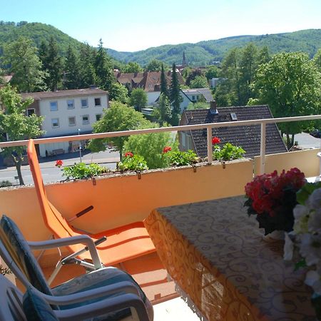 Ferienwohnung-Bergblick Bad Harzburg Buitenkant foto