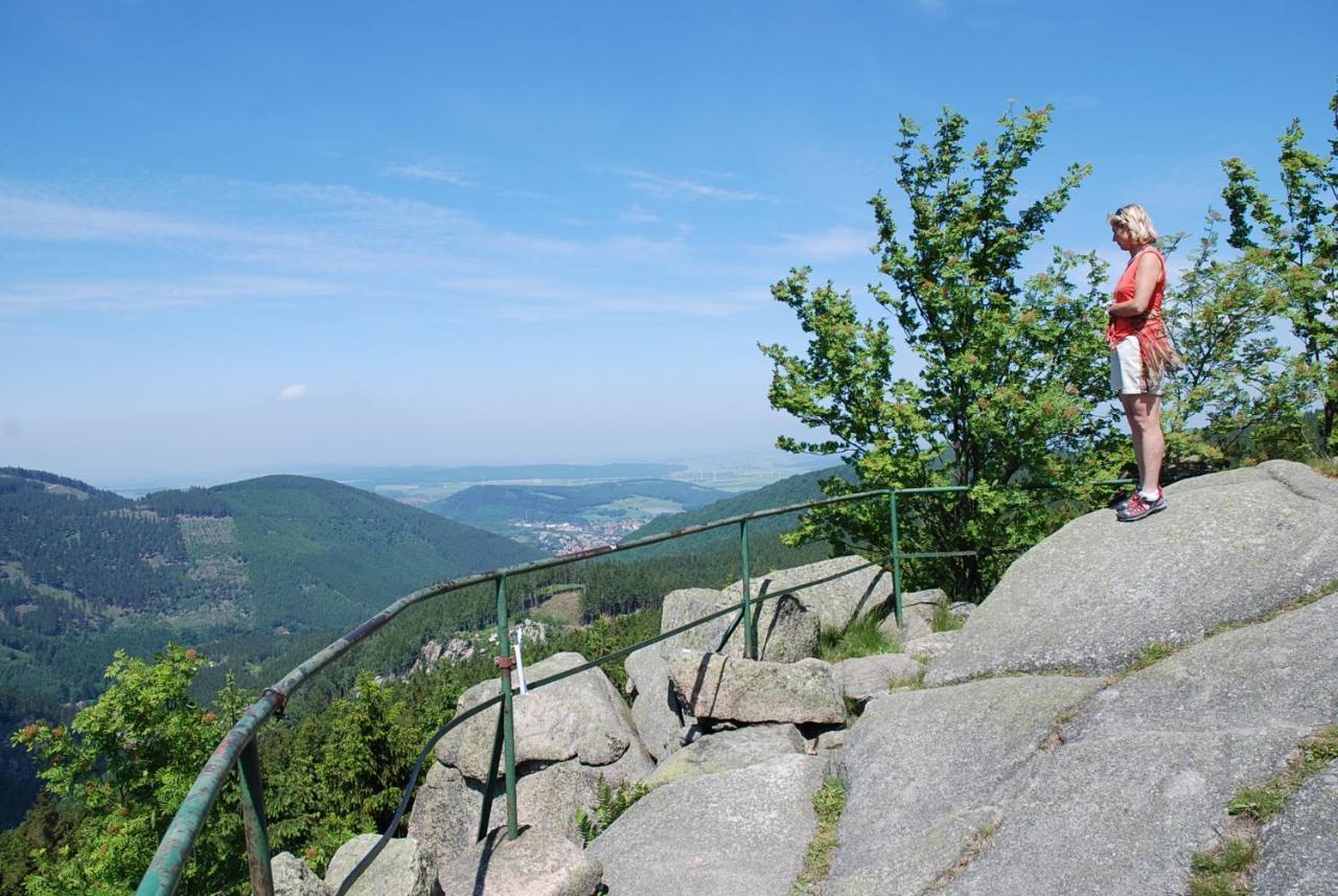 Ferienwohnung-Bergblick Bad Harzburg Buitenkant foto