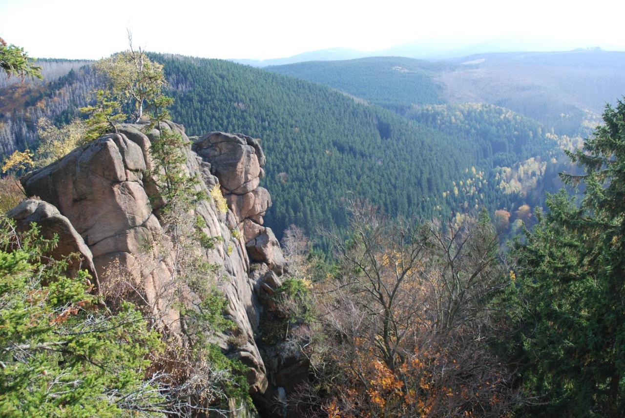 Ferienwohnung-Bergblick Bad Harzburg Buitenkant foto